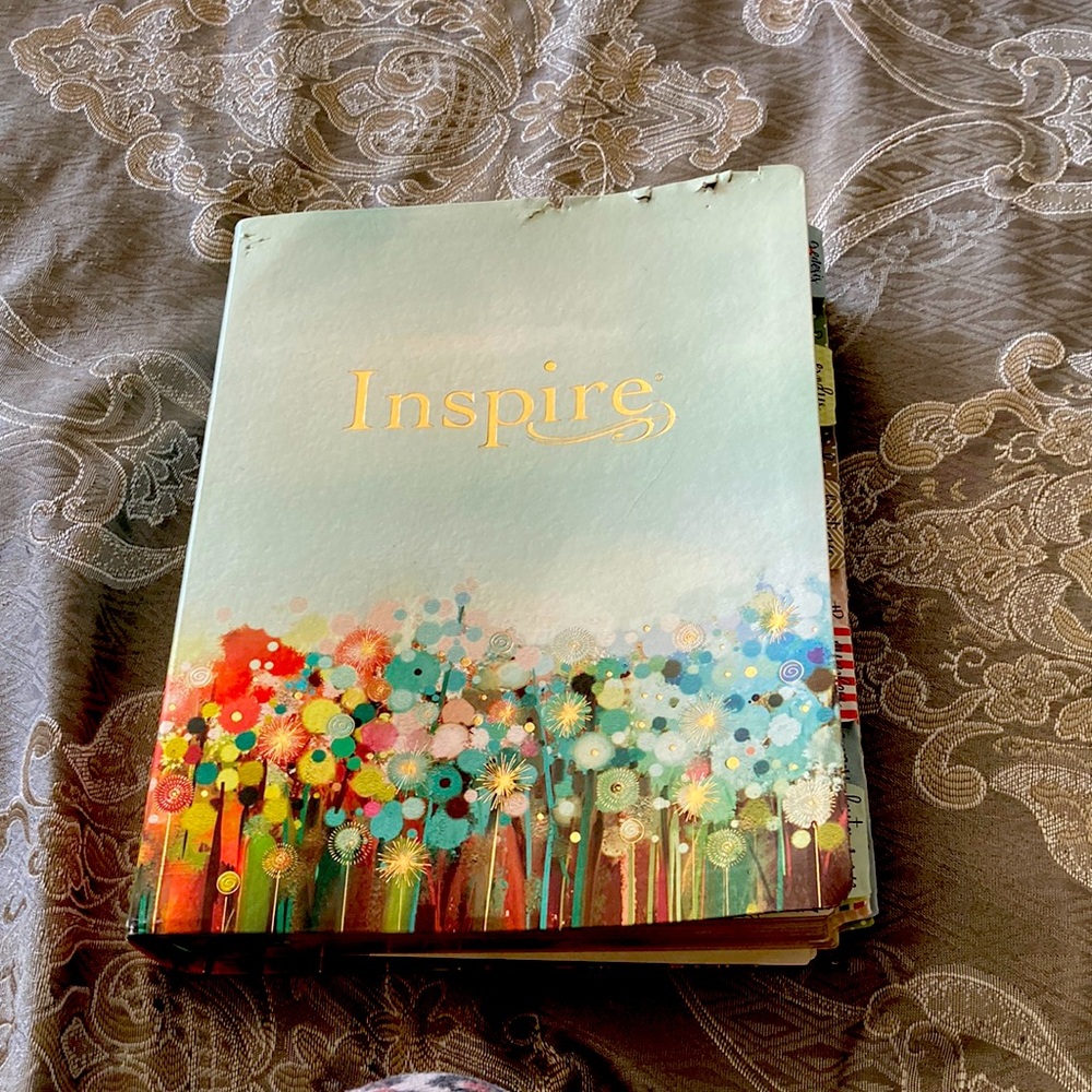 Etsy Bible very cute!🩷✝️☁️🤗